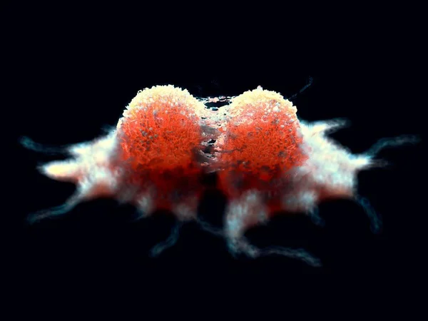 Ilustración División Células Cancerosas — Foto de Stock
