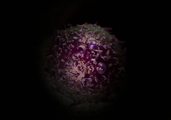 Иллюстрация Mesenchymal Stem Cell — стоковое фото