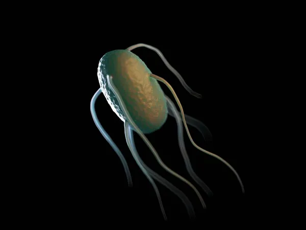 Illustration Bactéries Salmonella Typhimurium — Photo