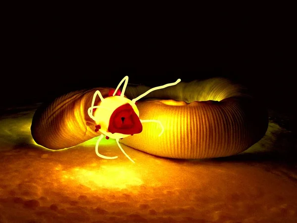 Ilustrace Nematode Worm — Stock fotografie