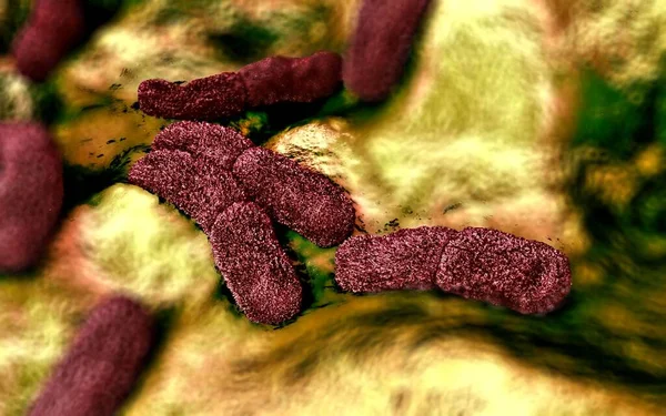 Abbildung Yersinia Pestis Bakterien — Stockfoto