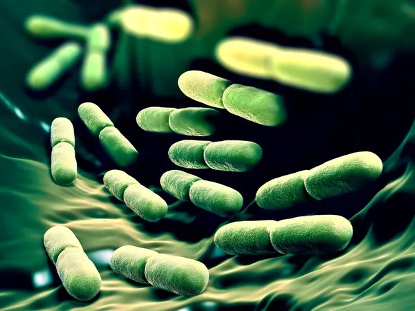 Ilustración Lactobacillus Bulgaricus Bacterias — Foto de Stock