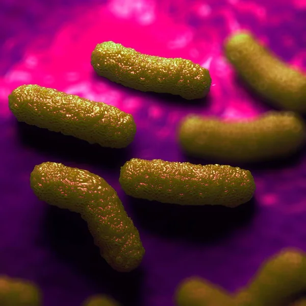 Ilustracja Bakterie Escherichia Coli — Zdjęcie stockowe
