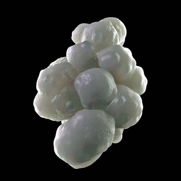 3Dイラスト 多能性幹細胞 — ストック写真