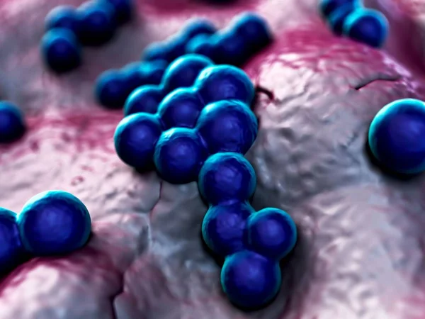 3d illüstrasyon - MRSA Bakteri veya Süper Böcek Bakterisi