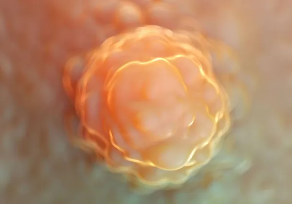줄기세포 — 스톡 사진