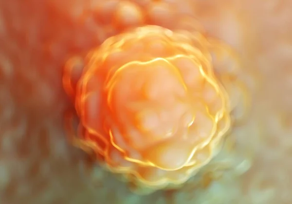 줄기세포 — 스톡 사진