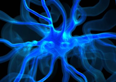 Sinir sisteminin bir kısmını oluşturan nöron veya sinir hücreleri elektriksel ve kimyasal sinyallerle bilgi iletir ve işler..