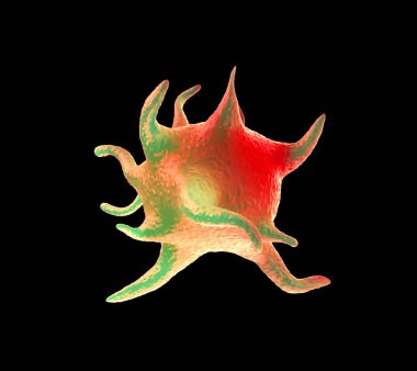 3D görüntüleme - etkinleştirilmiş trombositler