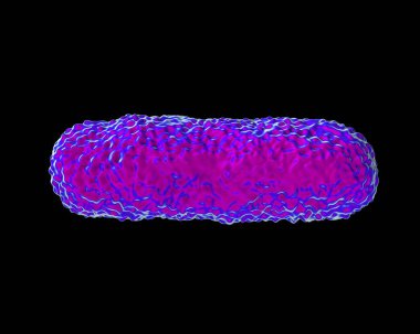 Lejyonella Pneumophila Bakterisi 'ne yakın çekim