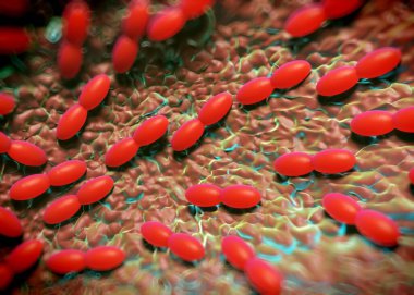 3D görüntüleme - asetobacter bakteri