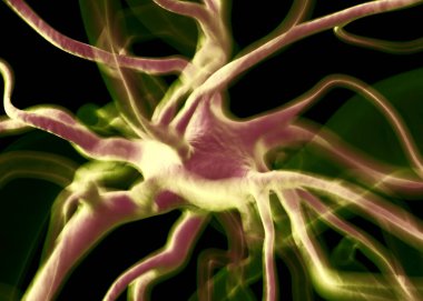 Sinir sisteminin bir kısmını oluşturan nöron veya sinir hücreleri elektriksel ve kimyasal sinyallerle bilgi iletir ve işler..