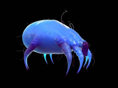 dust mite, digital closeup clipart