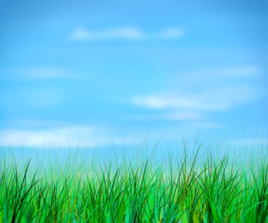 yeşil çimen ve mavi gökyüzü bulutlu