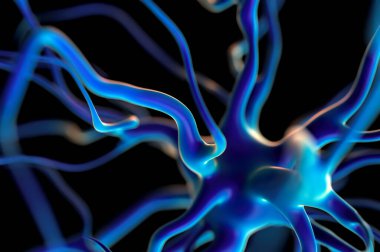 3d Hazırlama - Etkin sinir hücreleri