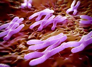 Kromozomlar genetik materyal DNA 'sının bir paketlenmiş halidir.