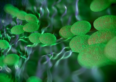 3D görüntüleme - asetobacter bakteri