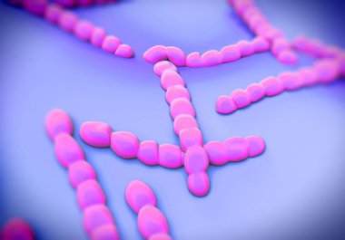 Streptococcus pneumoniae, bakteri sanat