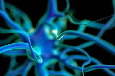 3d Hazırlama - Etkin sinir hücreleri