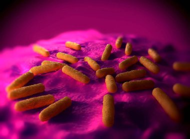 Bakteri hücrelerinin gösterimi