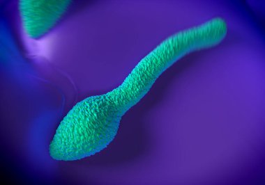 Clostridium tetani bakterisi, tetanoza neden olan Gram-pozitif, spor oluşturan, çubuk benzeri bakteri türüdür. Küresel endospori her bakterinin üst ucunda bir şişkinlik olarak görünür.