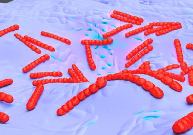 Streptococcus pneumoniae, bakteri sanat