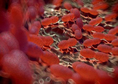 3D görüntüleme - asetobacter bakteri