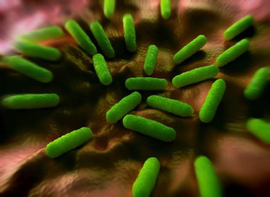 Bakteri hücrelerinin gösterimi