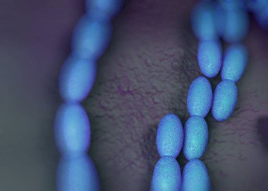 3D görüntüleme - asetobacter bakteri 