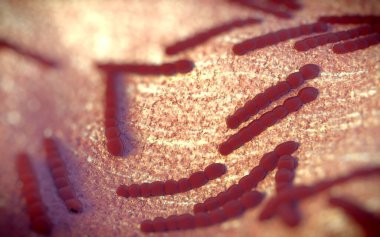 Streptococcus pneumoniae, Gram-pozitif koküs şekilli patojenik bakteridir ve zatürreye ek olarak pnömokok enfeksiyonlarına neden olur. .