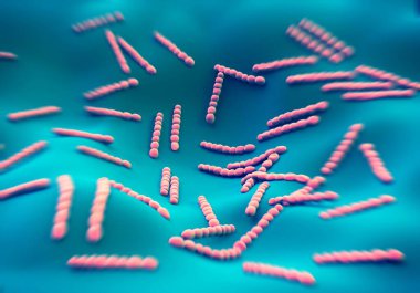 Streptococcus pneumoniae, bakteri sanat