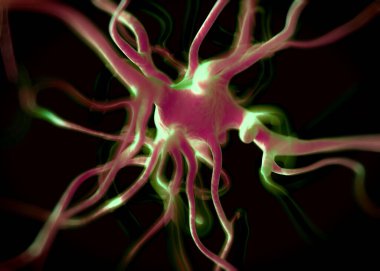 Sinir sisteminin bir kısmını oluşturan nöron veya sinir hücreleri elektriksel ve kimyasal sinyallerle bilgi iletir ve işler..