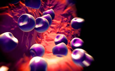 Aconite anter ve polen - 3D görüntüleme