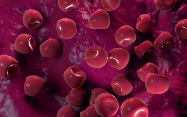  Bilinen Anter ve polen