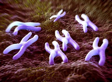 Kromozomlar genetik materyal DNA 'sının bir paketlenmiş halidir.