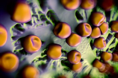 Aconite anter ve polen, bir akonit (Aconitum) çiçeğinden gelen polen tanecikleri. 