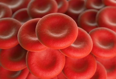 Kırmızı kan hücrelerine yakın çekim