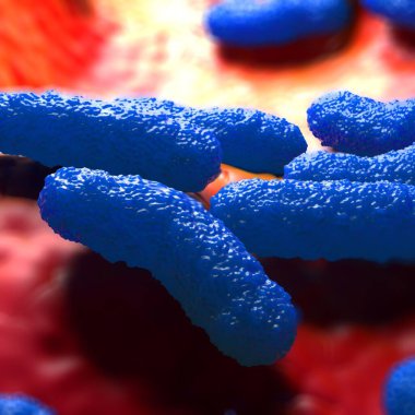 3d illüstrasyon - Escherichia Coli Bakterisi