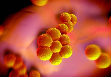 süperböcek bakterisi veya Staphylococcus aureus (MRSA) bakterisi