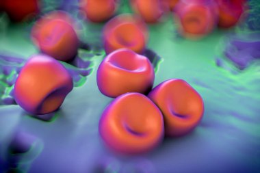 Aconite anter ve polen, bir akonit (Aconitum) çiçeğinden gelen polen tanecikleri. 