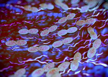3D görüntüleme - asetobacter bakteri