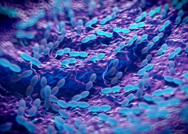 3D görüntüleme - asetobacter bakteri