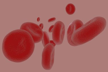 kırmızı kan hücreleri yüksek detay çizimi 