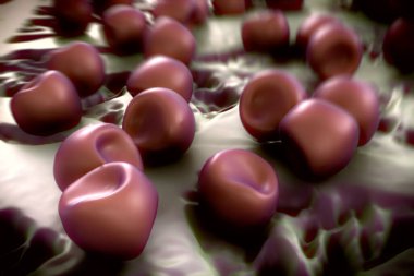 Aconite anter ve polen, bir akonit (Aconitum) çiçeğinden gelen polen tanecikleri. 