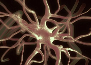 Sinir sisteminin bir kısmını oluşturan nöron veya sinir hücreleri elektriksel ve kimyasal sinyallerle bilgi iletir ve işler..