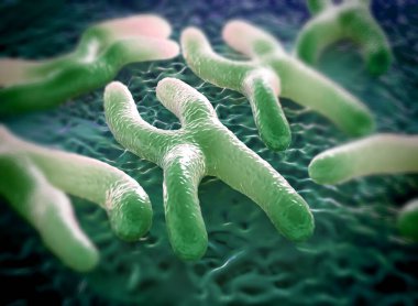 Kromozomlar genetik materyal DNA 'sının bir paketlenmiş halidir.