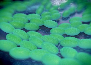 3D görüntüleme - asetobacter bakteri