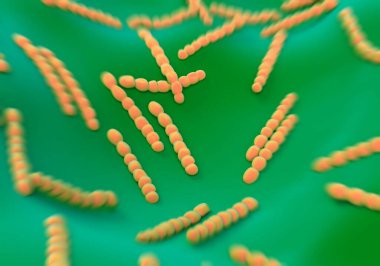 Streptococcus pneumoniae, bakteri sanat