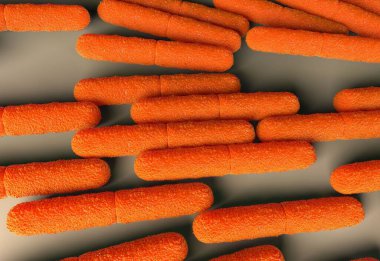 Clostridium Botulinum Bakterileri yakın plan