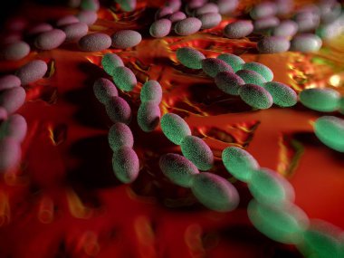 3D görüntüleme - asetobacter bakteri